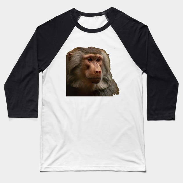 Serious monkey Baseball T-Shirt by Perryfranken